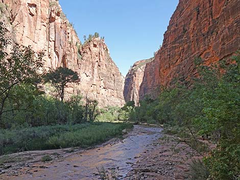 Riverside Walk Trail