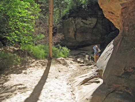 Zion Subway