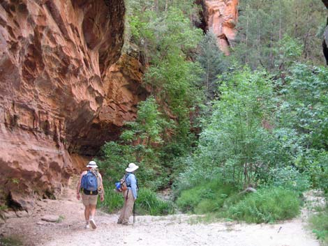 Zion Subway