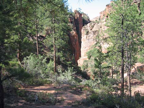 Zion Subway