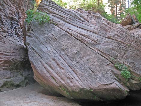 Zion Subway