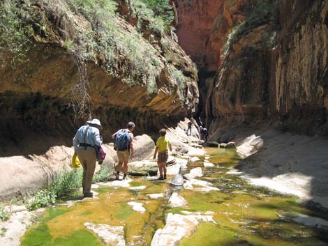 Zion Subway