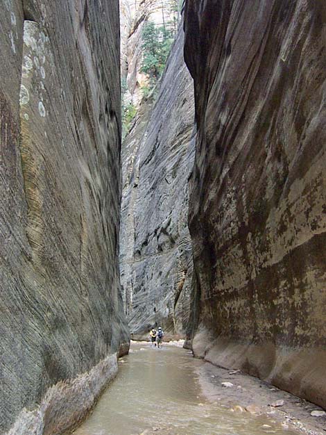 Zion Virgin River Narrows