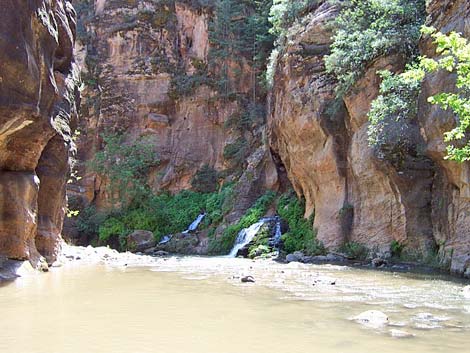 Zion Virgin River Narrows