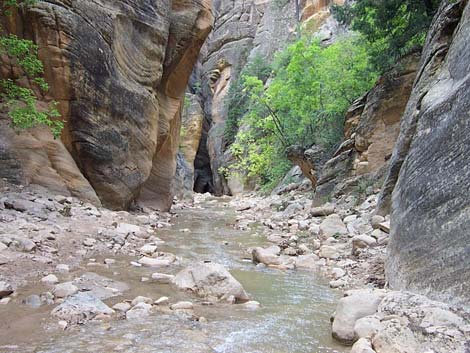 Zion Virgin River Narrows