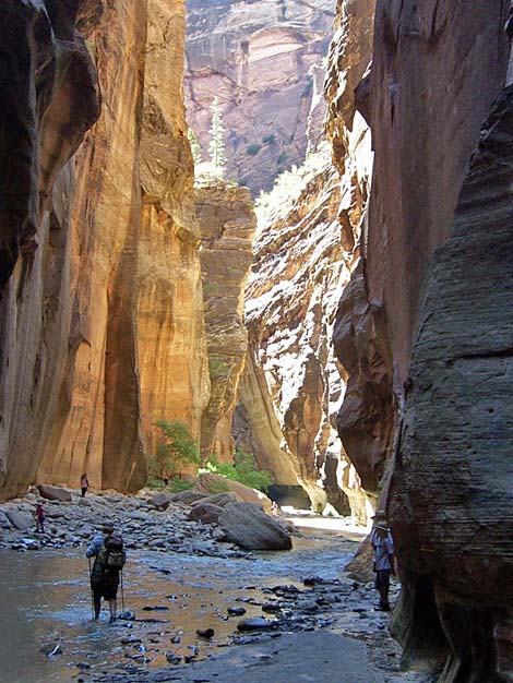 Zion Virgin River Narrows