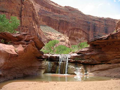 Coyote Gulch