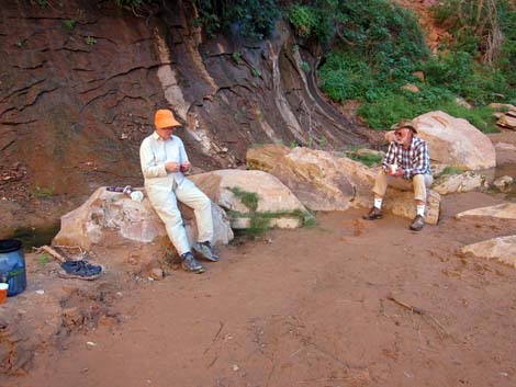 Coyote Gulch