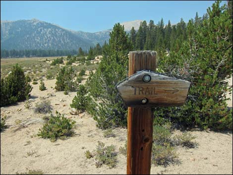 John Muir Trail