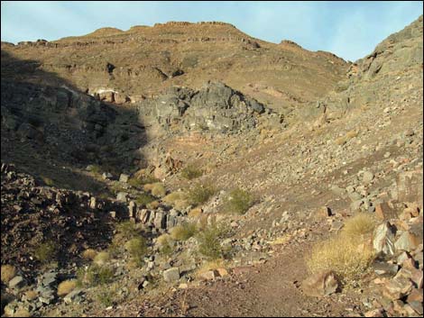 Cadiz Trilobite Quarry