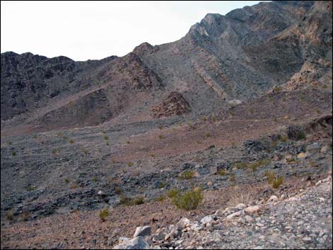 Chambless Trilobite Quarry