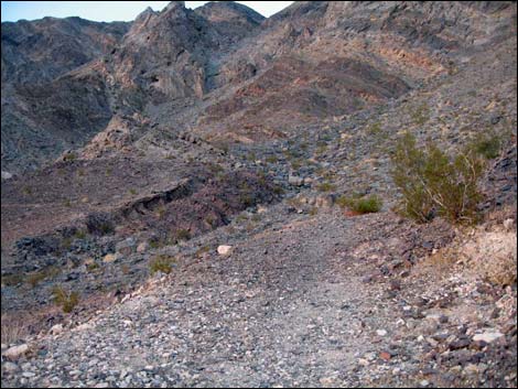 Chambless Trilobite Quarry