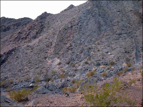 Chambless Trilobite Quarry