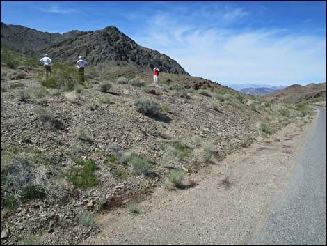 Nopah Trilobite Quarry