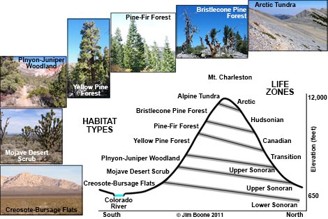 Life Zones