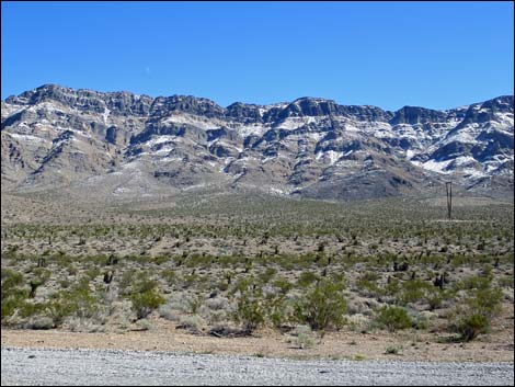 Arrow Canyon Wilderness Area