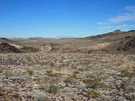 Black Canyon Wilderness Area