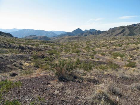 Jimbilnan Wilderness Area