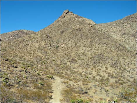 Jumbo Springs Wilderness Area