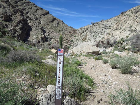 Lime Canyon Wilderness Area