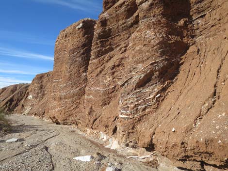 Lime Canyon Wilderness Area