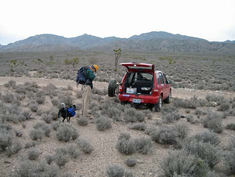 South McCullough Wilderness Area