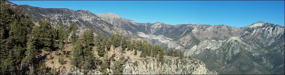 Mt. Charleston Wilderness Area