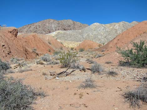 Pinto Valley Wilderness Area