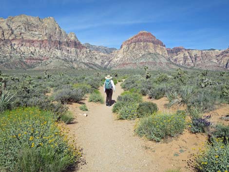 Rainbow Mountain Wilderness Area