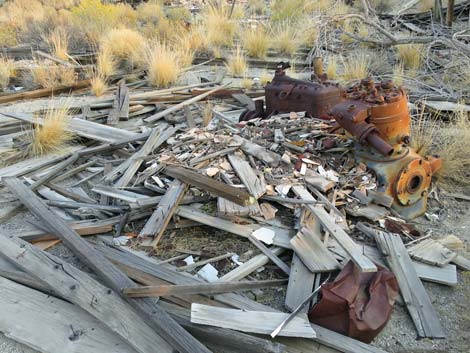 Desert Woodrat (Neotoma lepida) Nests