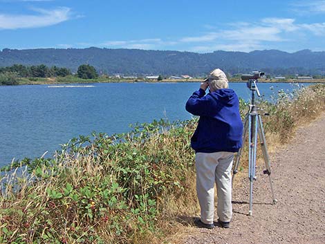 Arcata Marsh, CA